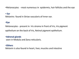 •Melanocytes - most numerous in epidermis, hair follicles and the eye
• Ear
Melanins found in Striae vascularis of Inner ear.
•Eye
Melanocytes - present in Iris stroma in front of Iris, Iris pigment
epithelium on the back of Iris, Retinal pigment epithelium.
•Adrenal glands
seen in Medula and Zona reticularis.
•Others
Melanin is also found in heart, liver, muscles and intestine
 