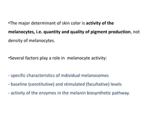 •The major determinant of skin color is activity of the
melanocytes, i.e. quantity and quality of pigment production, not
density of melanocytes.
•Several factors play a role in melanocyte activity:
- specific characteristics of individual melanosomes
- baseline (constitutive) and stimulated (facultative) levels
- activity of the enzymes in the melanin biosynthetic pathway.
 