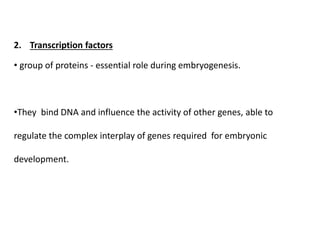 2. Transcription factors
• group of proteins - essential role during embryogenesis.
•They bind DNA and influence the activity of other genes, able to
regulate the complex interplay of genes required for embryonic
development.
 