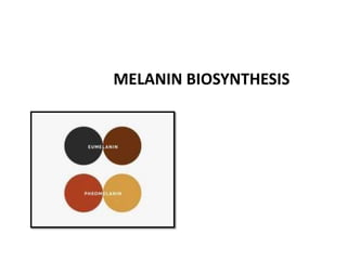 MELANIN BIOSYNTHESIS
 