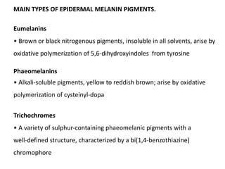 MAIN TYPES OF EPIDERMAL MELANIN PIGMENTS.
Eumelanins
• Brown or black nitrogenous pigments, insoluble in all solvents, arise by
oxidative polymerization of 5,6‐dihydroxyindoles from tyrosine
Phaeomelanins
• Alkali‐soluble pigments, yellow to reddish brown; arise by oxidative
polymerization of cysteinyl‐dopa
Trichochromes
• A variety of sulphur‐containing phaeomelanic pigments with a
well‐defined structure, characterized by a bi(1,4‐benzothiazine)
chromophore
 