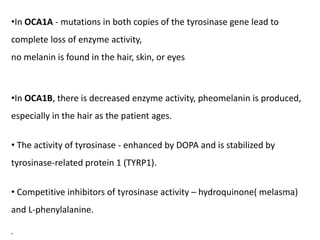 •In OCA1A - mutations in both copies of the tyrosinase gene lead to
complete loss of enzyme activity,
no melanin is found in the hair, skin, or eyes
•In OCA1B, there is decreased enzyme activity, pheomelanin is produced,
especially in the hair as the patient ages.
• The activity of tyrosinase - enhanced by DOPA and is stabilized by
tyrosinase-related protein 1 (TYRP1).
• Competitive inhibitors of tyrosinase activity – hydroquinone( melasma)
and L-phenylalanine.
.
 