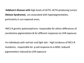 •Addison’s Disease with high levels of ACTH, ACTH-producing tumors
(Nelson Syndrome), are associated with hyperpigmentation,
particularly in sun-exposed areas.
•MC1-R genetic polymorphisms -responsible for ethnic differences of
constitutive pigmentation & for different responses to UVR exposure.
•In individuals with red hair and light skin - high incidence of MC1-R
mutations, responsible for ↓sed response to α-MSH, reduced
pigmentation induced by UVR exposure
 
