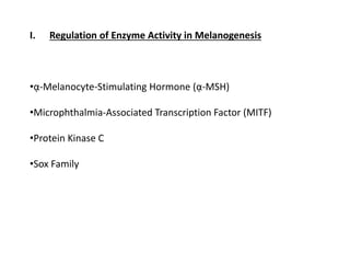 I. Regulation of Enzyme Activity in Melanogenesis
•ᾳ-Melanocyte-Stimulating Hormone (ᾳ-MSH)
•Microphthalmia-Associated Transcription Factor (MITF)
•Protein Kinase C
•Sox Family
 