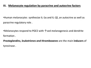 III. Melanocyte regulation by paracrine and autocrine factors
•Human melanocytes synthesize IL‐1α and IL‐1β, an autocrine as well as
paracrine regulatory role .
•Melanocytes respond to PGE2 with ↑sed melanogenesis and dendrite
formation .
Prostaglandins, leukotrienes and thromboxanes are the main inducers of
tyrosinase .
 