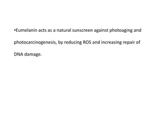 •Eumelanin acts as a natural sunscreen against photoaging and
photocarcinogenesis, by reducing ROS and increasing repair of
DNA damage.
 