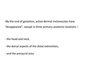 •By the end of gestation, active dermal melanocytes have
“disappeared”, except in three primary anatomic locations –
- the head and neck,
- the dorsal aspects of the distal extremities,
- and the presacral area.
 