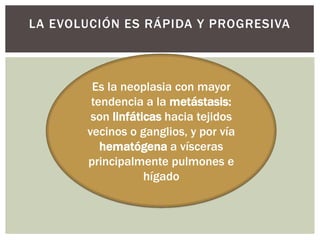 LA EVOLUCIÓN ES RÁPIDA Y PROGRESIVA

Es la neoplasia con mayor
tendencia a la metástasis:
son linfáticas hacia tejidos
vecinos o ganglios, y por vía
hematógena a vísceras
principalmente pulmones e
hígado

 