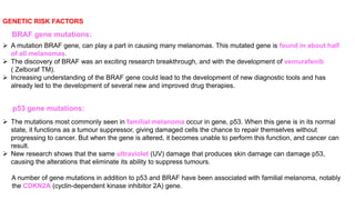 GENETIC RISK FACTORS 
BRAF gene mutations: 
 A mutation BRAF gene, can play a part in causing many melanomas. This mutated gene is found in about half 
of all melanomas. 
 The discovery of BRAF was an exciting research breakthrough, and with the development of vemurafenib 
( Zelboraf TM). 
 Increasing understanding of the BRAF gene could lead to the development of new diagnostic tools and has 
already led to the development of several new and improved drug therapies. 
p53 gene mutations: 
 The mutations most commonly seen in familial melanoma occur in gene, p53. When this gene is in its normal 
state, it functions as a tumour suppressor, giving damaged cells the chance to repair themselves without 
progressing to cancer. But when the gene is altered, it becomes unable to perform this function, and cancer can 
result. 
 New research shows that the same ultraviolet (UV) damage that produces skin damage can damage p53, 
causing the alterations that eliminate its ability to suppress tumours. 
A number of gene mutations in addition to p53 and BRAF have been associated with familial melanoma, notably 
the CDKN2A (cyclin-dependent kinase inhibitor 2A) gene. 
 