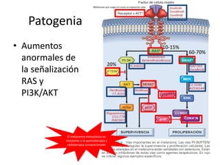 Patogenia
• Aumentos
anormales de
la señalización
RAS y
PI3K/AKT
60-70%
10-15%
Melanomas que surgen en zonas sin exposición solar
20%
El melanoma metastásico es
resistente a la quimioterapia y
radioterapia convencionales
 