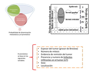 Probabilidad de diseminación
metastásica y el pronóstico
Características
histopatológicas
Características
clínicas
• Espesor del tumor (grosor de Breslow)
• Número de mitosis
• Evidencia de remisión del tumor
• Presencia y numero de linfocitos
infiltrantes en el tumor (LIT)
• Sexo
• Localización
El pronóstico
se basa en las
siguientes
variables
 