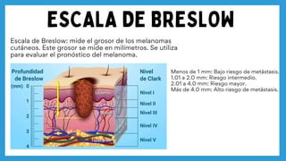 Resumen del tema de Melanoma - Dermatology.pdf