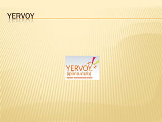 YERVOY
 
