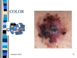 COLOR




January 6, 2013   14
 