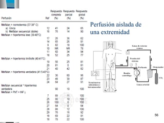 Perfusión aislada de
                  una extremidad




January 6, 2013                          56
 