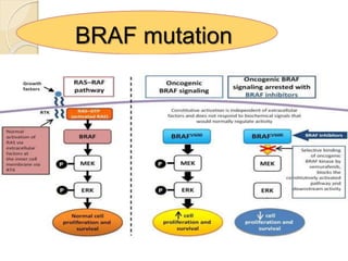 Melanoma frontline approach | PPTX