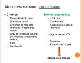 Hipoderme - estruturaFig. 25 – Hipoderme.