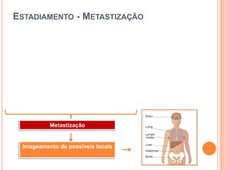 10/100 000 habitantes por ano