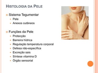 800 novos casos por anoEstatísticas: Registo Oncológico Nacional (Instituto Português Oncologia de Francisco Gentil)