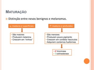  Palpação de gânglios linfáticos