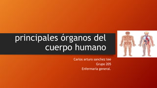 principales órganos del
cuerpo humano
Carlos arturo sanchez tee
Grupo 205
Enfermaría general.
 