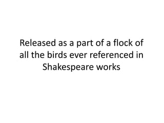 Released as a part of a flock of
all the birds ever referenced in
Shakespeare works
 