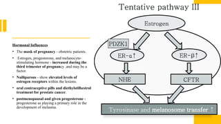 Hormonal Influences
• The mask of pregnancy - obstetric patients.
• Estrogen, progesterone, and melanocyte-
stimulating hormone - increased during the
third trimester of pregnancy .and may be a
factor.
• Nulliparous - show elevated levels of
estrogen receptors within the lesions.
• oral contraceptive pills and diethylstilbestrol
treatment for prostate cancer.
• postmenopausal and given progesterone -
progesterone as playing a primary role in the
development of melasma.
 