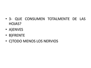 • 3- QUE CONSUMEN TOTALMENTE DE LAS
HOJAS?
• A)ENVES
• B)FRENTE
• C)TODO MENOS LOS NERVIOS
 