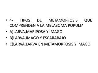 • 4- TIPOS DE METAMORFOSIS QUE
COMPRENDEN A LA MELASOMA POPULI?
• A)LARVA,MARIPOSA Y IMAGO
• B)LARVA,IMAGO Y ESCARABAJO
• C)LARVA,LARVA EN METAMORFOSIS Y IMAGO
 