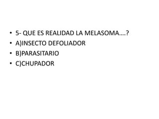 • 5- QUE ES REALIDAD LA MELASOMA….?
• A)INSECTO DEFOLIADOR
• B)PARASITARIO
• C)CHUPADOR
 