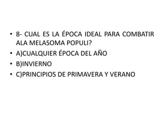 • 8- CUAL ES LA ÉPOCA IDEAL PARA COMBATIR
ALA MELASOMA POPULI?
• A)CUALQUIER ÉPOCA DEL AÑO
• B)INVIERNO
• C)PRINCIPIOS DE PRIMAVERA Y VERANO
 