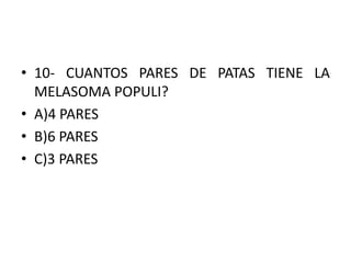 • 10- CUANTOS PARES DE PATAS TIENE LA
MELASOMA POPULI?
• A)4 PARES
• B)6 PARES
• C)3 PARES
 