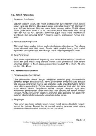 TTG BUDIDAYA PERTANIAN
Hal. 5/ 13
Kantor Deputi Menegristek Bidang Pendayagunaan dan Pemasyarakatan Ilmu Pengetahuan dan Teknologi
Gedung II Lantai 6 BPP Teknologi, Jl. M.H. Thamrin 8 Jakarta 10340
Tlp. 021 316 9166~69, Fax. 021 316 1952, http://www.ristek.go.id
6.3. Teknik Penanaman
1) Penentuan Pola Tanam
Sebulan sebelum tanam, bibit melati diadaptasikan dulu disekitar kebun. Lahan
kebun yang siap ditanami diberi pupuk dasar terdiri atas 3 gram TSP ditambah 2
gram KCI per tanaman. Bila tiap hektar lahan terdapat sekitar 60.000 lubang
tanam (jarak tanam 1,0 m x 1,5 m), kebutuhan pupuk dasar terdiri atas 180 kg
TSP dan 120 kg KCI. Bersama pemberian pupuk dasar dapat ditambahkan
“pembenah dan pemantap tanah “ misalnya Agrovit, stratos/asam humus Gro-
Mate .
2) Pembuatan Lubang Tanam
Bibit melati dalam polybag disiram medium tumbuh dan akar-akarnya. Tiap lubang
tanam ditanami satu bibit melati. Tanah dekat pangkal batang bibit melati
dipadatkan pelan-pelan agar akar-akarnya kontak langsung dengan air tanah.
3) Cara Penanaman
Jarak tanam dapat bervariasi, tergantung pada bentuk kultur budidaya, kesuburan
tanah dan jenis melati yang ditanam, bentuk kultur perkebunan jarak tanam
umumnya adalah 1 x 1,5 m, sedang variasi lainnya adalah 40 x 40 cm, 40 x 25
cm dan 100 x 40 cm.
6.4. Pemeliharaan Tanaman
1) Penjarangan dan Penyulaman.
Cara penyulaman adalah dengan mengganti tanaman yang mati/tumbuhan
abnormal dengan bibit yang baru. Teknik penyulaman prinsipnya sama dengan
tata laksana penanaman, hanya saja dilakukan pada lokasi/blok/lubang tanam
yang bibitnya perlu diganti. Periode penyulaman sebaiknya tidak lebih dari satu
bulan setelah tanam. Penyulaman seawal mungkin bertujuan agar tidak
menyulitkan pemeliharaan tanam berikutnya dan pertumbuhan tanam menjadi
seragam. Waktu penyulaman sebaiknya dilakukan pada pagi/sore hari, saat sinar
matahari tidak terlalu terik dan suhu udara tidak terlalu panas.
2) Penyiangan
Pada umur satu bulan setelah tanam, kebun melati sering ditumbuhi rumput-
rumput liar (gulma). Rumput liar ini menjadi pesaing tanaman melati dalam
pemenuhan kebutuhan sinar matahari, air dan unsur hara.
 