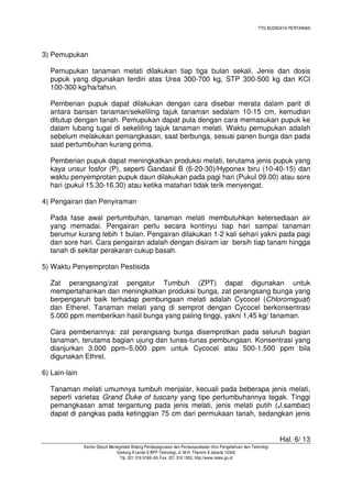 TTG BUDIDAYA PERTANIAN
Hal. 6/ 13
Kantor Deputi Menegristek Bidang Pendayagunaan dan Pemasyarakatan Ilmu Pengetahuan dan Teknologi
Gedung II Lantai 6 BPP Teknologi, Jl. M.H. Thamrin 8 Jakarta 10340
Tlp. 021 316 9166~69, Fax. 021 316 1952, http://www.ristek.go.id
3) Pemupukan
Pemupukan tanaman melati dilakukan tiap tiga bulan sekali. Jenis dan dosis
pupuk yang digunakan terdiri atas Urea 300-700 kg, STP 300-500 kg dan KCI
100-300 kg/ha/tahun.
Pemberian pupuk dapat dilakukan dengan cara disebar merata dalam parit di
antara barisan tanaman/sekeliling tajuk tanaman sedalam 10-15 cm, kemudian
ditutup dengan tanah. Pemupukan dapat pula dengan cara memasukan pupuk ke
dalam lubang tugal di sekeliling tajuk tanaman melati. Waktu pemupukan adalah
sebelum melakukan pemangkasan, saat berbunga, sesuai panen bunga dan pada
saat pertumbuhan kurang prima.
Pemberian pupuk dapat meningkatkan produksi melati, terutama jenis pupuk yang
kaya unsur fosfor (P), seperti Gandasil B (6-20-30)/Hyponex biru (10-40-15) dan
waktu penyemprotan pupuk daun dilakukan pada pagi hari (Pukul 09.00) atau sore
hari (pukul 15.30-16.30) atau ketika matahari tidak terik menyengat.
4) Pengairan dan Penyiraman
Pada fase awal pertumbuhan, tanaman melati membutuhkan ketersediaan air
yang memadai. Pengairan perlu secara kontinyu tiap hari sampai tanaman
berumur kurang lebih 1 bulan. Pengairan dilakukan 1-2 kali sehari yakni pada pagi
dan sore hari. Cara pengairan adalah dengan disiram iar bersih tiap tanam hingga
tanah di sekitar perakaran cukup basah.
5) Waktu Penyemprotan Pestisida
Zat perangsang/zat pengatur Tumbuh (ZPT) dapat digunakan untuk
mempertahankan dan meningkatkan produksi bunga, zat perangsang bunga yang
berpengaruh baik terhadap pembungaan melati adalah Cycocel (Chloromiguat)
dan Etherel. Tanaman melati yang di semprot dengan Cycocel berkonsentrasi
5.000 ppm memberikan hasil bunga yang paling tinggi, yakni 1,45 kg/ tanaman.
Cara pemberiannya: zat perangsang bunga disemprotkan pada seluruh bagian
tanaman, terutama bagian ujung dan tunas-tunas pembungaan. Konsentrasi yang
dianjurkan 3.000 ppm–5.000 ppm untuk Cycocel atau 500-1.500 ppm bila
digunakan Ethrel.
6) Lain-lain
Tanaman melati umumnya tumbuh menjalar, kecuali pada beberapa jenis melati,
seperti varietas Grand Duke of tuscany yang tipe pertumbuhannya tegak. Tinggi
pemangkasan amat tergantung pada jenis melati, jenis melati putih (J.sambac)
dapat di pangkas pada ketinggian 75 cm dari permukaan tanah, sedangkan jenis
 