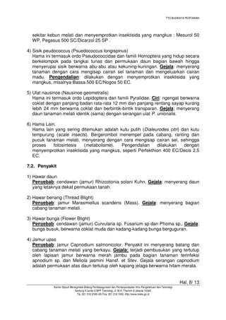 TTG BUDIDAYA PERTANIAN
Hal. 8/ 13
Kantor Deputi Menegristek Bidang Pendayagunaan dan Pemasyarakatan Ilmu Pengetahuan dan Teknologi
Gedung II Lantai 6 BPP Teknologi, Jl. M.H. Thamrin 8 Jakarta 10340
Tlp. 021 316 9166~69, Fax. 021 316 1952, http://www.ristek.go.id
sekitar kebun melati dan menyemprotkan insektisida yang mangkus : Mesurol 50
WP, Pegasus 500 SC/Dicarzol 25 SP .
4) Sisik peudococcus (Psuedococcus longispinus)
Hama ini termasuk ordo Pseudococcidae dan famili Homoptera yang hidup secara
berkelompok pada tangkai tunas dan permukaan daun bagian bawah hingga
menyerupai sisik berwarna abu-abu atau kekuning-kuningan. Gejala: menyerang
tanaman dengan cara mengisap cairan sel tanaman dan mengeluarkan cairan
madu. Pengendalian: dilakukan dengan menyemprotkan insektisida yang
mangkus, misalnya Bassa 500 EC/Nogos 50 EC.
5) Ulat nausinoe (Nausinoe geometralis)
Hama ini termasuk ordo Lepidoptera dan famili Pyralidae. Ciri: ngengat berwarna
coklat dengan panjang badan rata-rata 12 mm dan panjang rentang sayap kurang
lebih 24 mm berwarna coklat dan berbintik-bintik transparan. Gejala: menyerang
daun tanaman melati identik (sama) dengan serangan ulat P. unionalis.
6) Hama Lain.
Hama lain yang sering ditemukan adalah kutu putih (Dialeurodes citri) dan kutu
tempurung (scale insects). Bergerombol menempel pada cabang, ranting dan
pucuk tanaman melati, menyerang dengan cara mengisap cairan sel, sehingga
proses fotosintesis (metabolisme). Pengendalian dilakukan dengan
menyemprotkan insektisida yang mangkus, seperti Perfekthion 400 EC/Decis 2,5
EC.
7.2. Penyakit
1) Hawar daun
Penyebab: cendawan (jamur) Rhizcotonia solani Kuhn. Gejala: menyerang daun
yang letaknya dekat permukaan tanah.
2) Hawar benang (Thread Blight)
Penyebab: jamur Marasmiellus scandens (Mass). Gejala: menyerang bagian
cabang tanaman melati.
3) Hawar bunga (Flower Blight)
Penyebab: cendawan (jamur) Curvularia sp. Fusarium sp dan Phoma sp,. Gejala:
bunga busuk, berwarna coklat muda dan kadang-kadang bunga berguguran.
4) Jamur upas
Penyebab: jamur Capnodium salmonicolor. Penyakit ini menyerang batang dan
cabang tanaman melati yang berkayu. Gejala: terjadi pembusukan yang tertutup
oleh lapisan jamur berwarna merah jambu pada bagian tanaman terinfeksi
apnodium sp. dan Meliola jasmini Hansf. et Stev. Gejala serangan capnodium
adalah permukaan atas daun tertutup oleh kapang jelaga berwarna hitam merata.
 