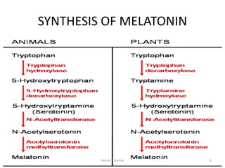 SYNTHESIS OF MELATONIN
Veena P Kumar 6
 