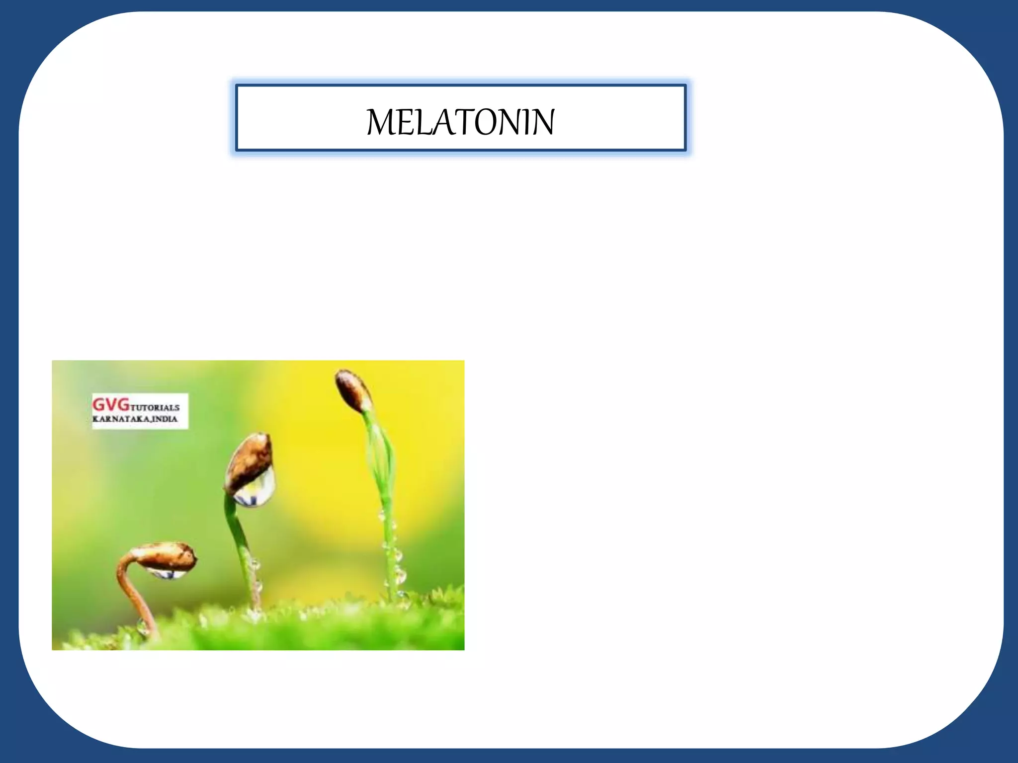 MELATONIN