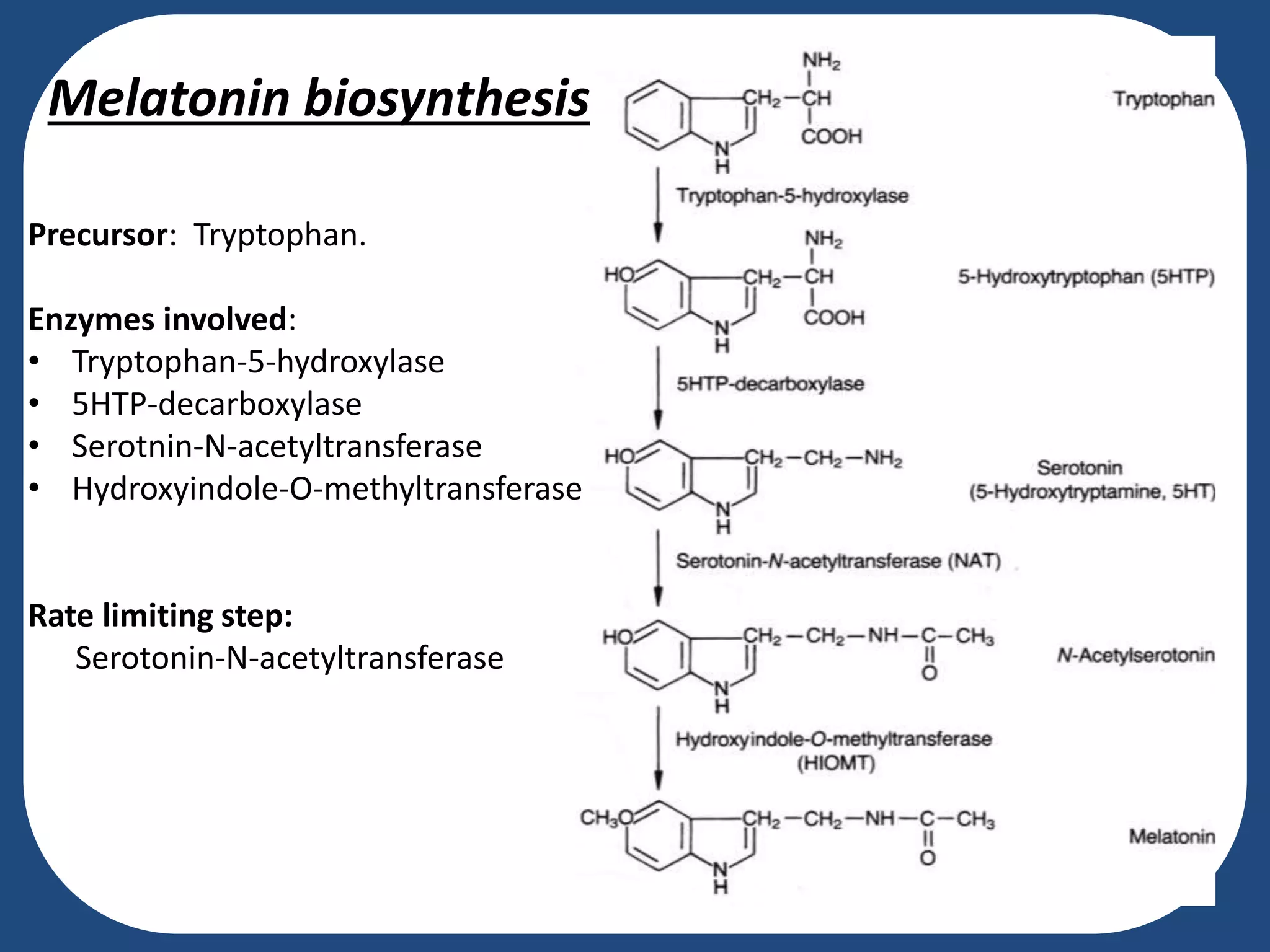 Precursor: Tryptophan.
Enzymes involved:
Melatonin biosynthesis
Precursor: Tryptophan.
Enzymes involved:
• Tryptophan-5-hydroxylase
• 5HTP-decarboxylase
• Serotnin-N-acetyltransferase
• Hydroxyindole-O-methyltransferase
Rate limiting step:
Serotonin-N-acetyltransferase