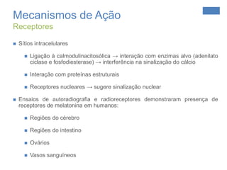 Formada por dois tipos de células