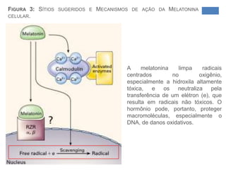 Glândula com grande aporte sanguíneo;Fisiologia e Farmacologia Melatonina