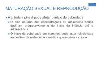 Picos entre 2 e 4 da manhã;