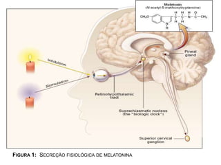 1921:  Medical Society compra o Boston Medical andSurgicalJournalpor um dólar