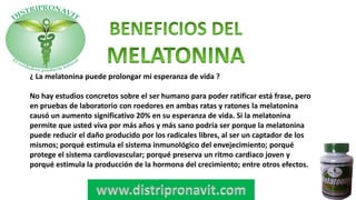 ¿ La melatonina puede prolongar mi esperanza de vida ?
No hay estudios concretos sobre el ser humano para poder ratificar está frase, pero
en pruebas de laboratorio con roedores en ambas ratas y ratones la melatonina
causó un aumento significativo 20% en su esperanza de vida. Si la melatonina
permite que usted viva por más años y más sano podría ser porque la melatonina
puede reducir el daño producido por los radicales libres, al ser un captador de los
mismos; porqué estimula el sistema inmunológico del envejecimiento; porqué
protege el sistema cardiovascular; porqué preserva un ritmo cardiaco joven y
porqué estimula la producción de la hormona del crecimiento; entre otros efectos.
 