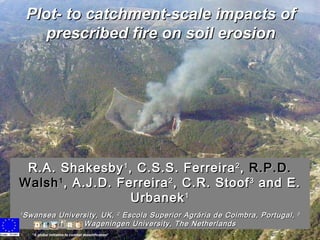 Plot- to catchment-scale impacts of prescribed fire on soil erosion R.A. Shakesby 1 , C.S.S. Ferreira 2 ,  R.P.D. Walsh 1 , A.J.D. Ferreira 2 , C.R. Stoof 3  and E. Urbanek 1 1 Swansea University, UK,  2  Escola Superior Agr ária de Coimbra, Portugal,  3  Wageningen University, The Netherlands “ A global initiative to combat desertification ” 