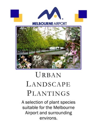 U RBAN
  L ANDSCAPE
  P LANTINGS
A selection of plant species
suitable for the Melbourne
  Airport and surrounding
          environs.
 