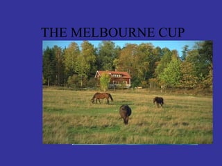 THE MELBOURNE CUP 