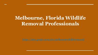 Melbourne, Florida Wildlife
Removal Professionals
https://sites.google.com/site/melbournewildliferemoval/
 