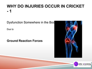 WHY DO INJURIES OCCUR IN CRICKET
- 1
Dysfunction Somewhere in the Body
Due to
Ground Reaction Forces
 