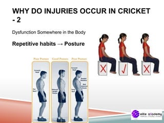 WHY DO INJURIES OCCUR IN CRICKET
- 2
Dysfunction Somewhere in the Body
Repetitive habits → Posture
 