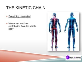 THE KINETIC CHAIN
 Everything connected
 Movement involves
contribution from the whole
body
 